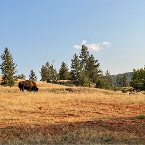 Meet your Posher, Macey